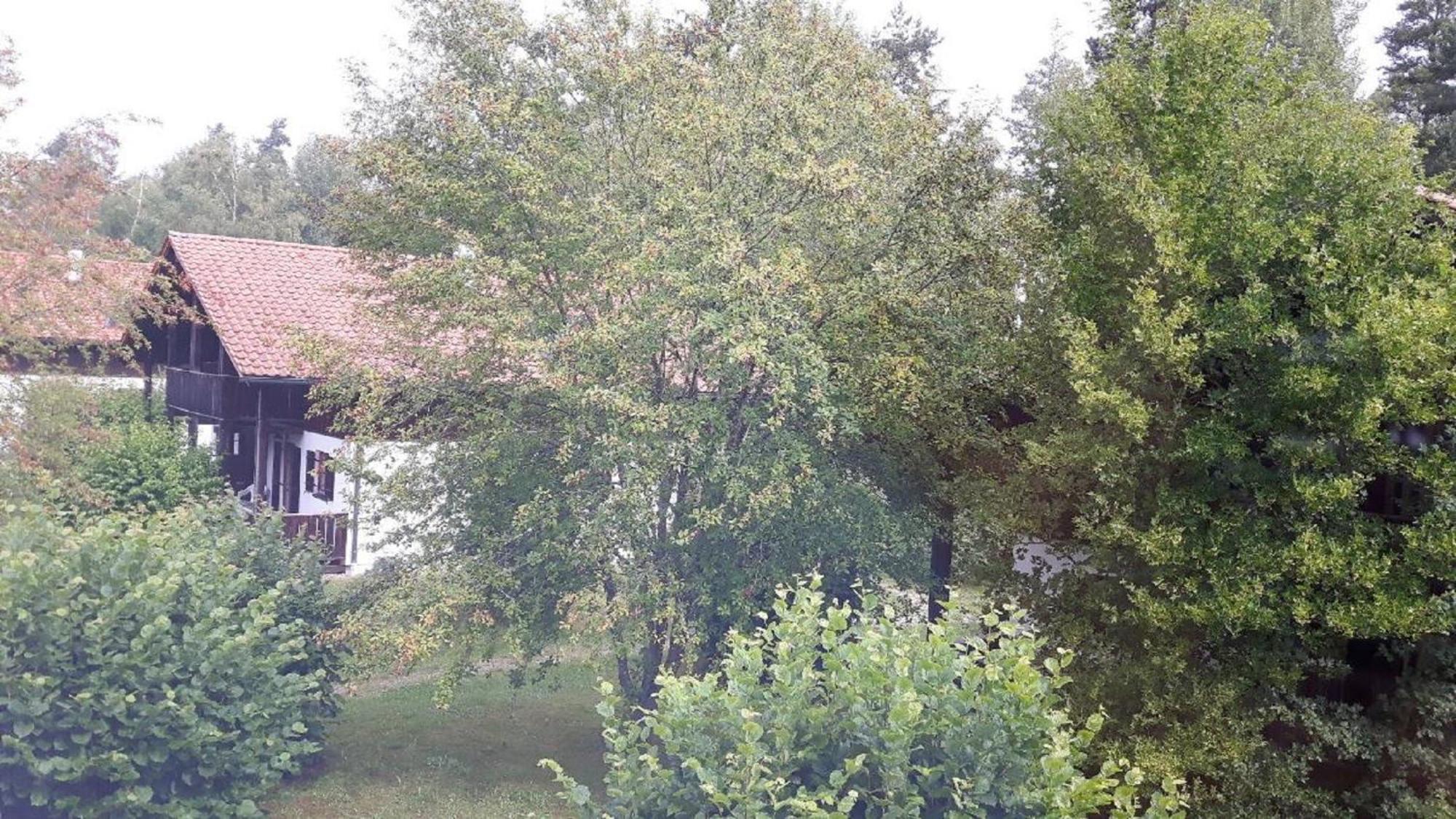 Ferienhaus Virzi - Waldferiendorf Regen Extérieur photo